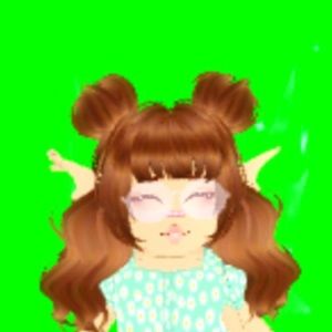 Meet your Posher, Evelin